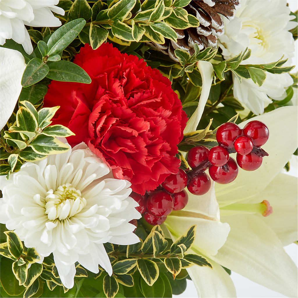 Festive Moments Tree –  Schoodic In Bloom, Winter Harbor ME