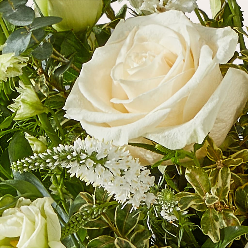 Cashmere Bouquet –  Schoodic In Bloom, Winter Harbor ME