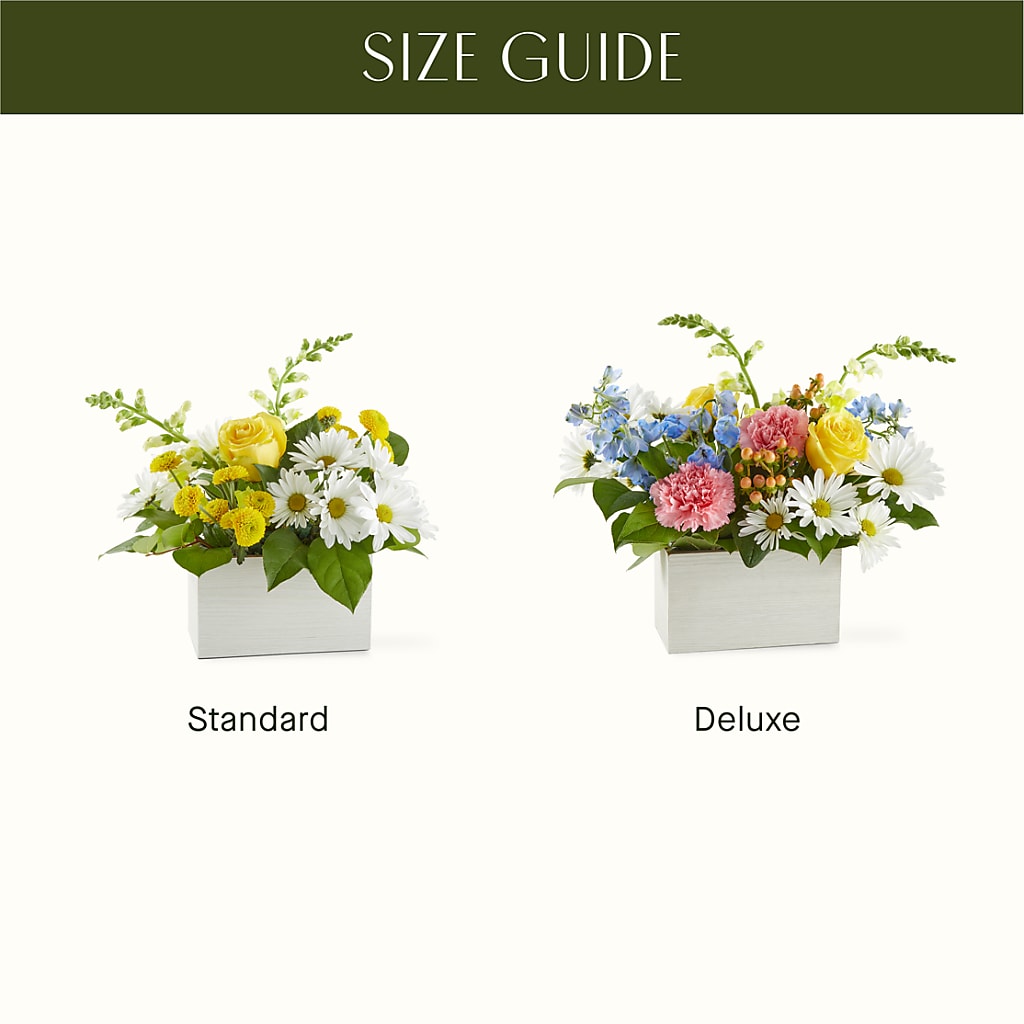 Sun Salutation Box Bouquet –  Schoodic In Bloom, Winter Harbor ME