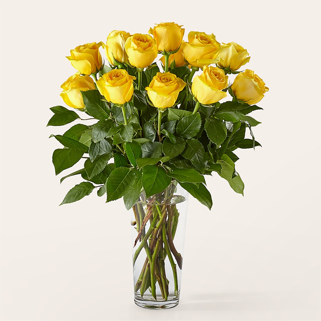Long Stem Yellow Rose Bouquet –  Schoodic In Bloom, Winter Harbor ME