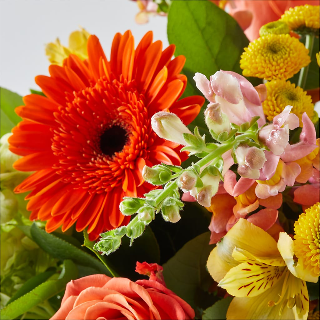 Autumn Sunshine Bouquet –  Schoodic In Bloom, Winter Harbor ME