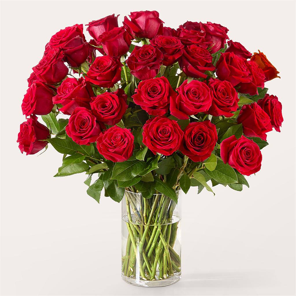 The One Red Rose Bouquet –  Schoodic In Bloom, Winter Harbor ME