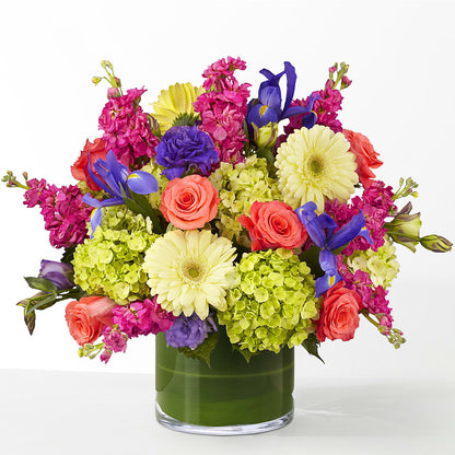 The Couture –  Schoodic In Bloom, Winter Harbor ME